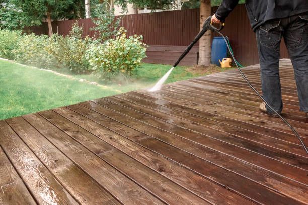 Animal Enclosure Cleaning in Deerfield Beach, FL